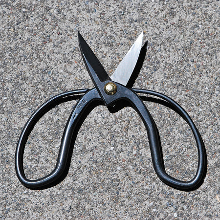 MycoEdge Harvesting Scissors & Blade Set