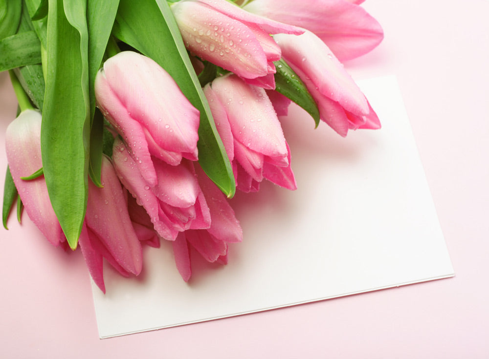 bigstock-Blank-card-for-spring-Easter--15743102