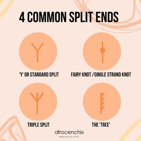 Different Types Of Split Ends  How To Identify And Treat Them
