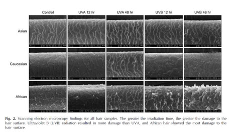 Text book images of different hair types and how heat damage affect them