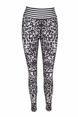 Cape Mountain Zebra Yoga Leggings