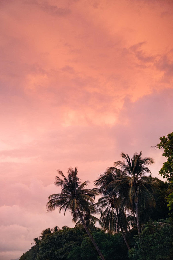 Palm trees with a cotton candy sunset sky in Tamarindo, Costa Rica. Photographed by Kristen M. Brown, Samba to the Sea for The Sunset Shop.