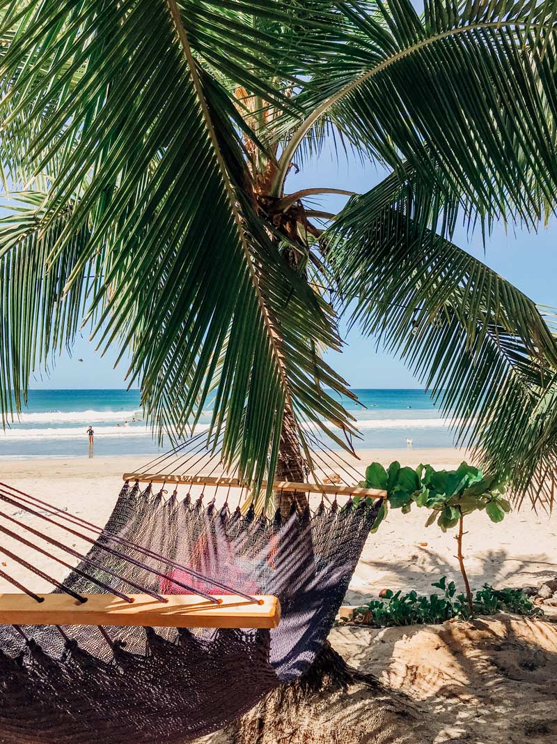 Photo of hammock under palm trees at the beach at Lola's in Playa Avellanas, Costa Rica. Palm tree art pictures photographed by Kristen M. Brown, Samba to the Sea for The Sunset Shop.