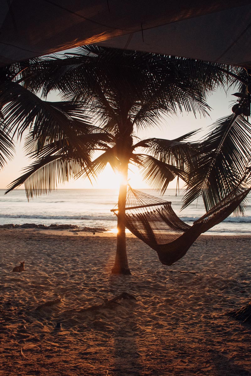 Palm trees overlooking the Pacific Ocean during sunset in Costa Rica. Beach front restaurant Lola's in Playa Avellanas Costa Rica.  Fine art beach photographing print Photographed by Kristen M. Brown, Samba to the Sea for The Sunset Shop.