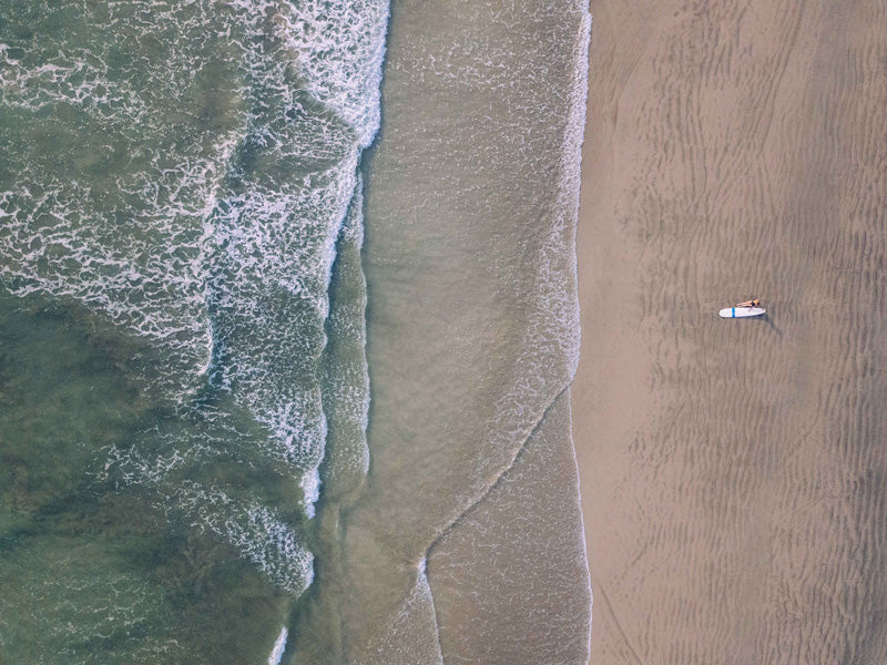 Aerial image of surfer on the beach in Nosara Costa Rica. Salt & Water aerial beach print photographed by Samba to the Sea for The Sunset Shop.