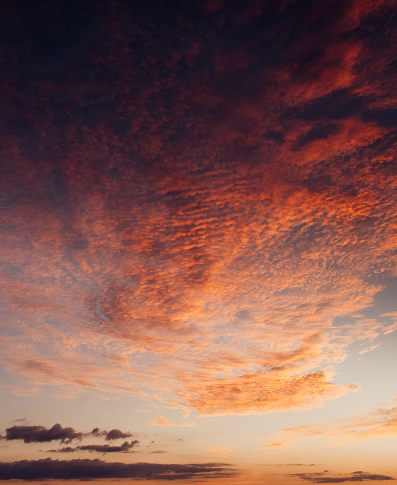 Sunset sky in Savannah Georgia. Photographed by Kristen M. Brown, Samba to the Sea for The Sunset Shop.