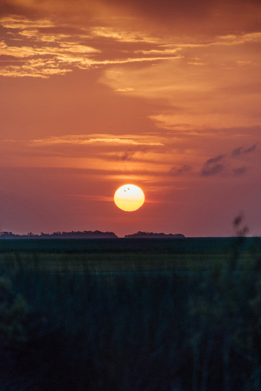 Sunrise over the Romerly Marsh in Savannah Georgia. Photographed by Kristen M. Brown, Samba to the Sea.