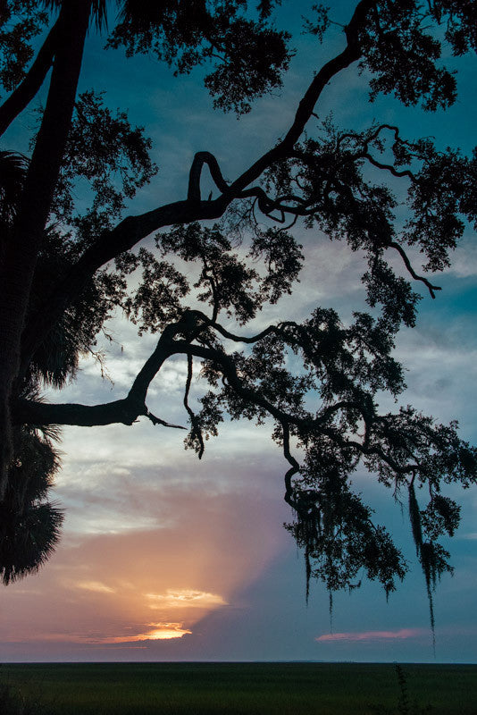 Sunrise over the Romerly Marsh in Savannah Georgia. Photographed by Kristen M. Brown, Samba to the Sea.