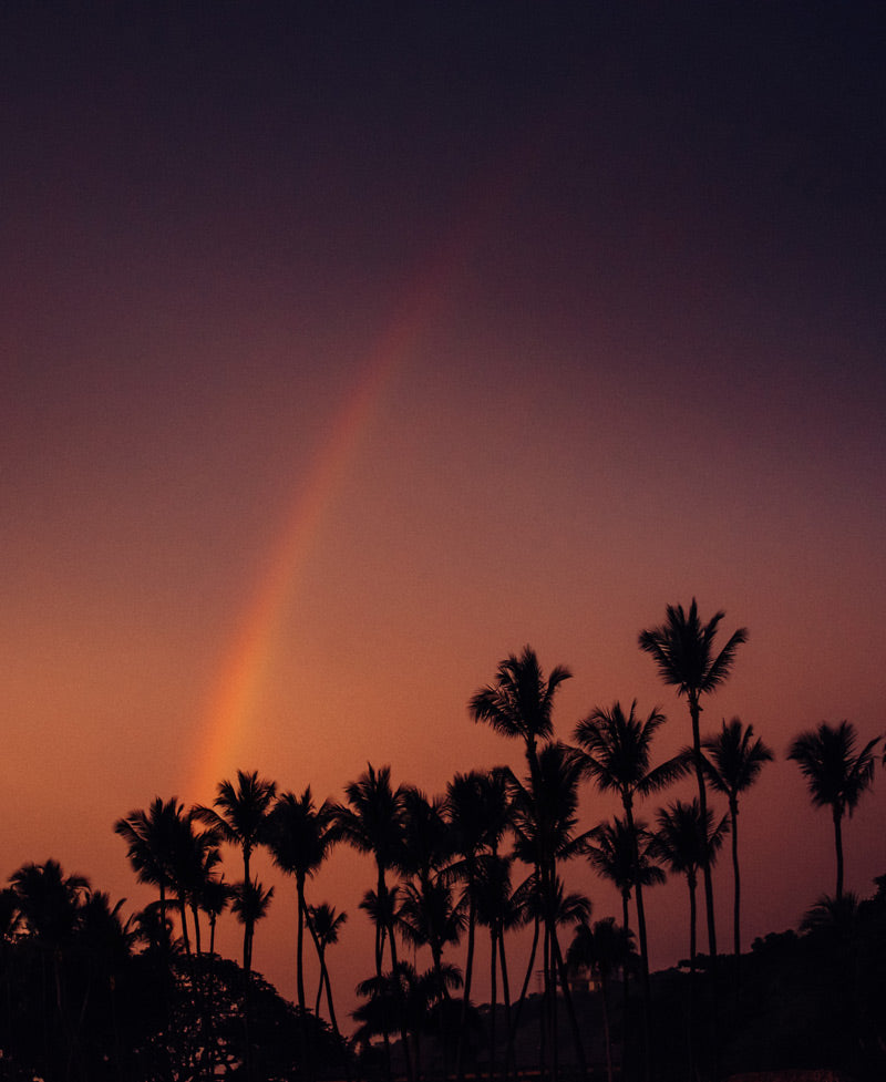 Palm trees and a double rainbow against a gorgeous sunset sky in Costa Rica. Photographed by Kristen M. Brown, Samba to the Sea for The Sunset Shop.