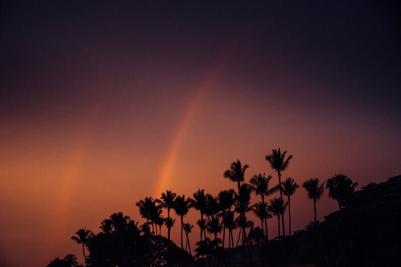 Palm trees and a double rainbow against a gorgeous sunset sky in Costa Rica. Photographed by Kristen M. Brown, Samba to the Sea for The Sunset Shop.
