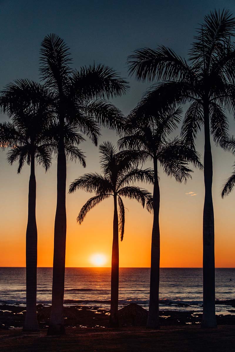 Palm trees overlooking the Pacific Ocean during sunset in Costa Rica. Fine art beach photographing print Photographed by Kristen M. Brown, Samba to the Sea for The Sunset Shop.