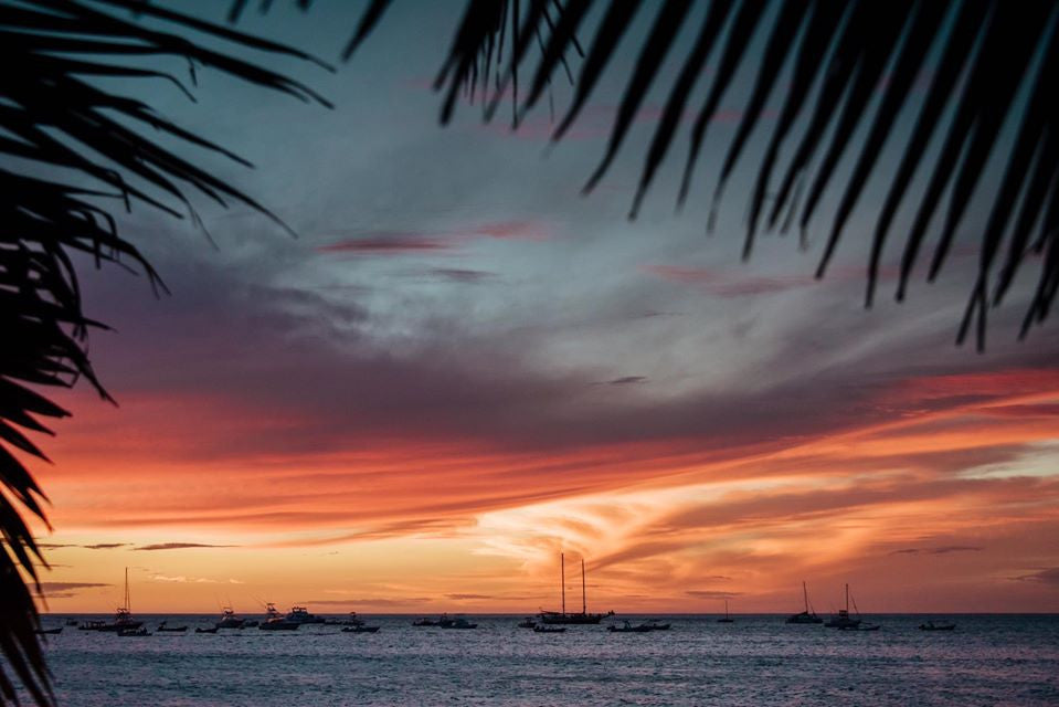 Gorgeous sunset in Tamarindo, Costa Rica seen through a palm tree. Photographed by Kristen M. Brown, Samba to the Sea. Sunset print available at The Sunset Shop.