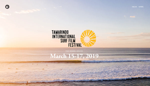 Tamarindo International Surf Film Festival. Aerial wave photograph by Kristen M. Brown Samba to the Sea.