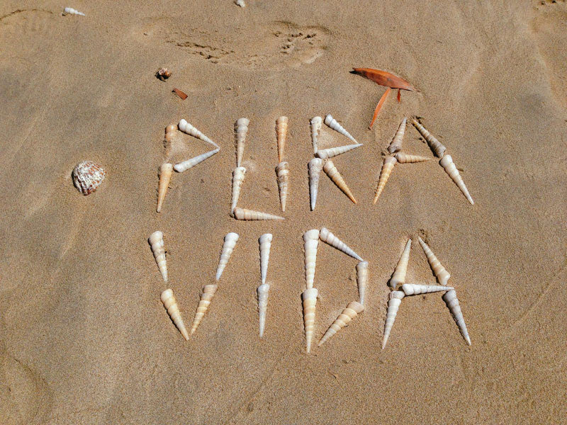 What does Pura Vida mean? Pura Vida unicorn shells on the beach in Costa Rica. Written by Kristen M. Brown, Samba to the Sea at The Sunset Shop.