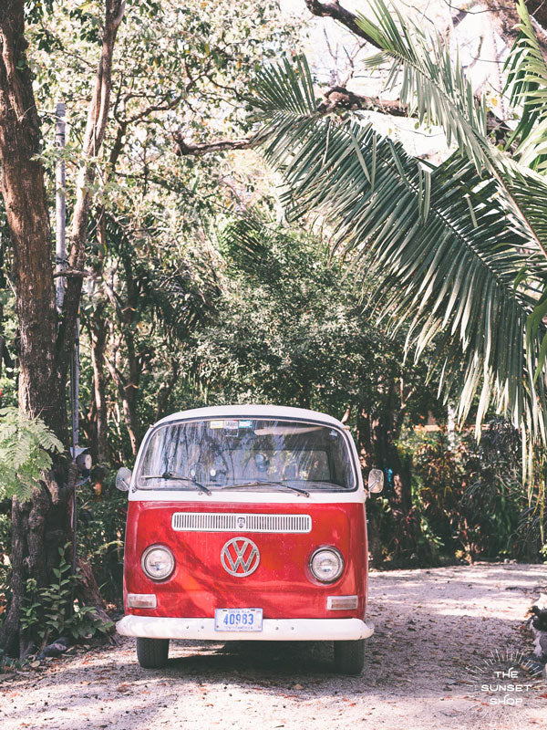 VW Bus  under palm trees in Costa Rica. Photographed by Kristen M. Brown of Samba to the Sea for The Sunset Shop.