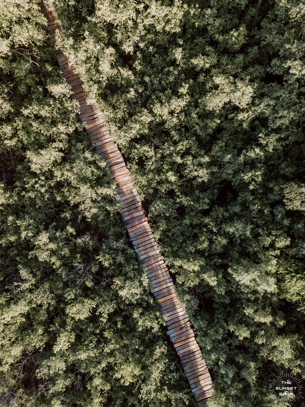 The epitome of a magical pathway to surf heaven. Can't you just imagine it's you, your surfboard, and your surf buddies walking through this dreamy mangrove boardwalk path to the beach to catch perfect waves in Costa Rica?! Aerial mangrove beach boardwalk path print "Pathway to Surf Heaven" by Samba to the Sea.