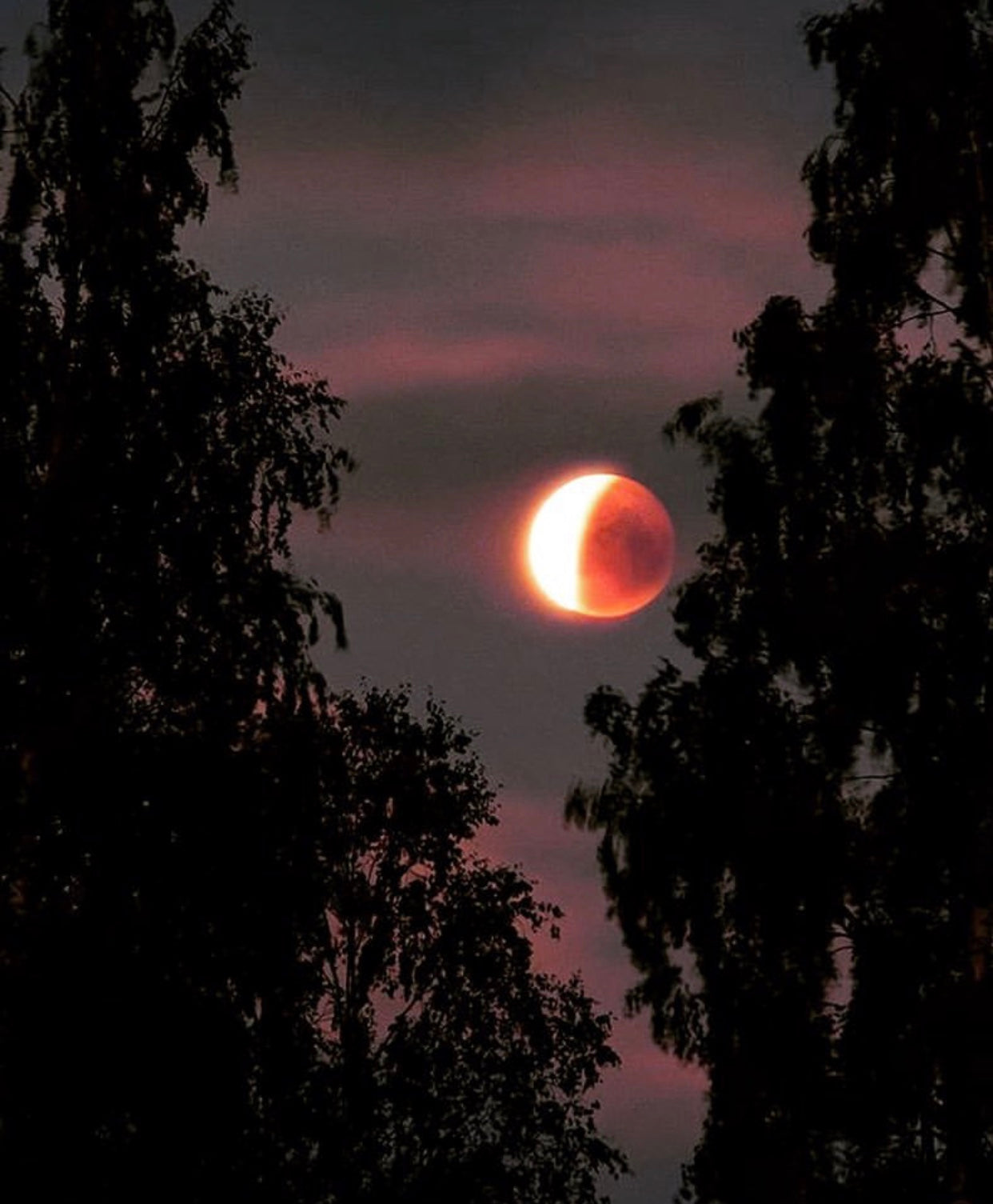 super blood full moon total lunar eclipse in leo on 1/20 :: meagan moon