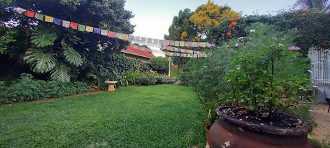 Prayer Flags Flying at Home