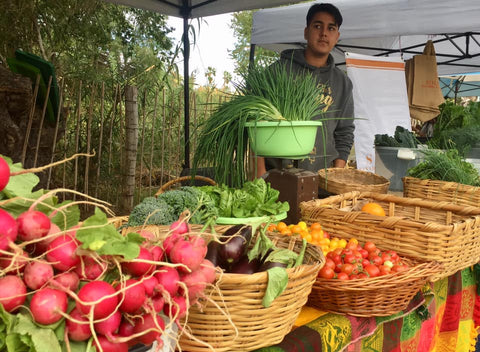 fresh produce at the San Jose del Cabo Organic Market