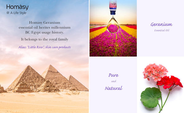 Top 5 perks of geranium essential oil at home – PureCult®