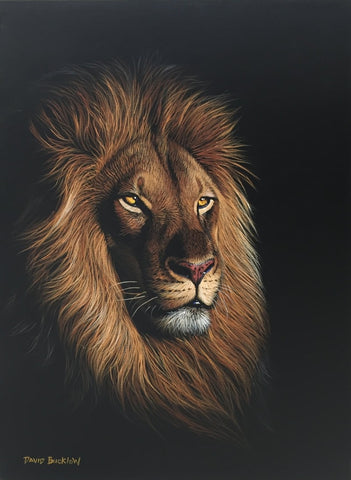 Featured image of post Lion Art - Lions are majestic creatures, and there is no doubt why a lot of people love them.