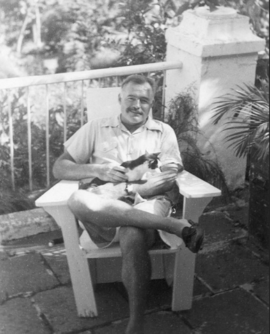 Hemingway six-toed cats