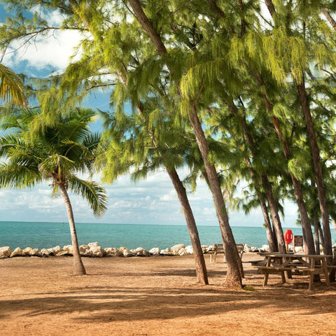 Fort Zachary Taylor 