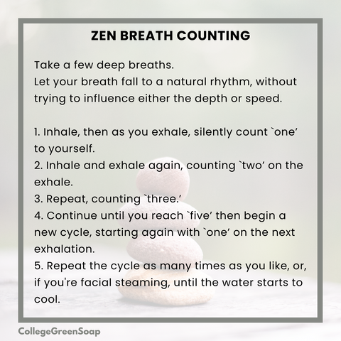 Zen breath counting instructions