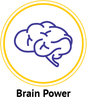 Brain Power Nutra Bee