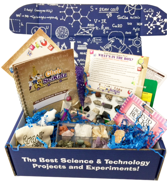 stem club subscription