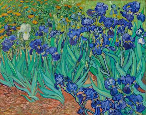 Irises by Vincent van Gogh