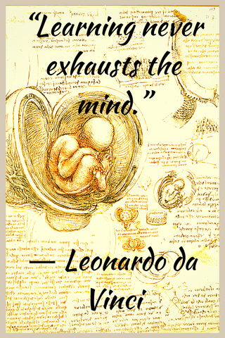 “Learning never exhausts the mind.” ― Leonardo da Vinci