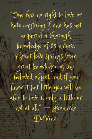 “One has no right to love or hate anything if one has not acquired a thorough knowledge of its nature. Great love springs from great knowledge of the beloved object, and if you know it but little you will be able to love it only a little or not at all.” ― Leonardo DaVinci