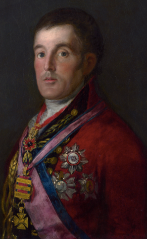 Portrait of the Duke of Wellington by Francisco Goya