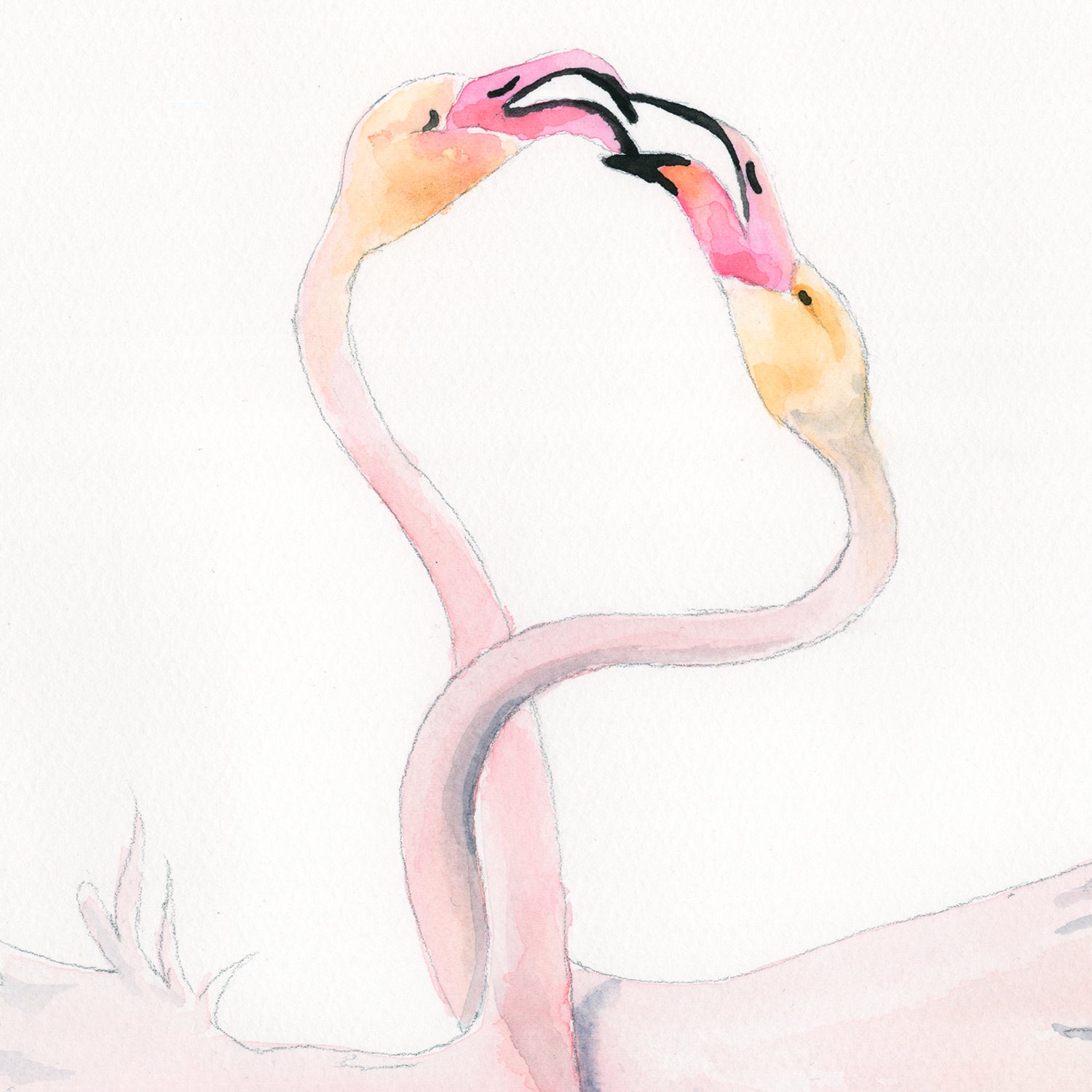 flamingo clipart kissing