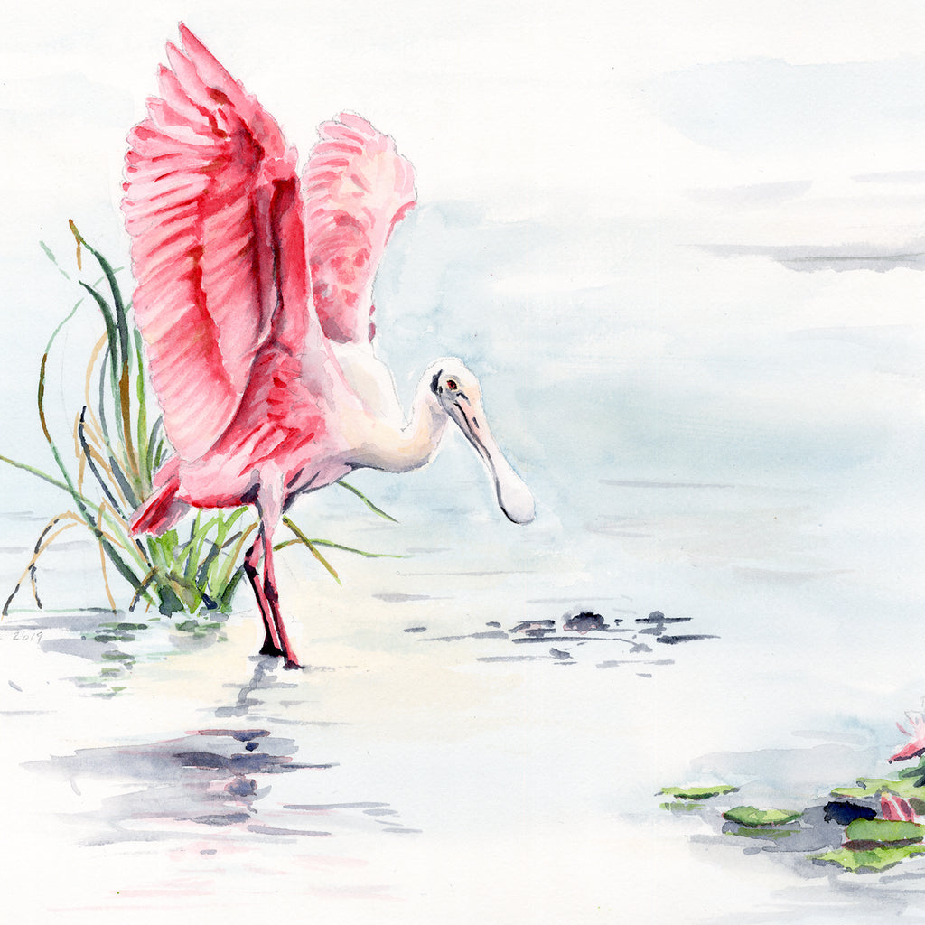 Roseate Spoonbill with Water Lilies | Fine Art Print | Watercolor