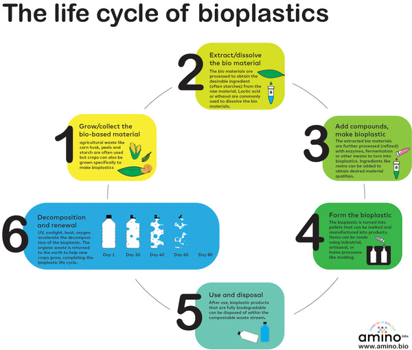 Life cycle of bioplastics, bioplastics life cycle