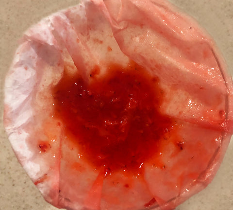 Strawberry DNA extraction - filter step