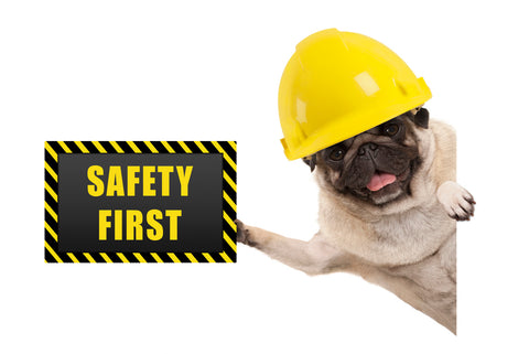 Pug doc with a yellow helmet holding a safety first sign