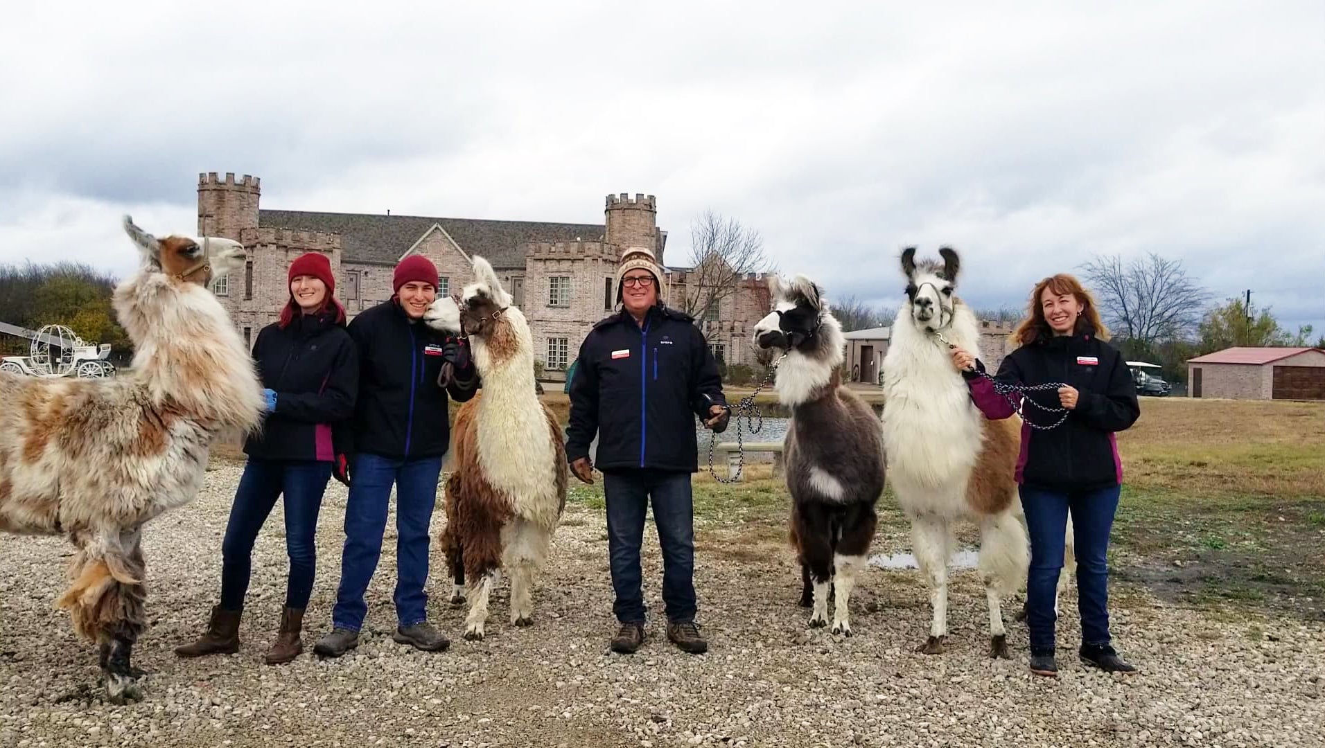 heated clothing for llama family