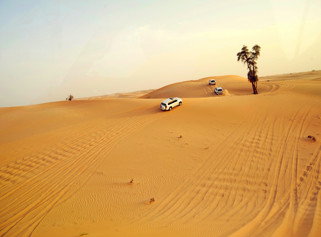 dune bashing australia desert