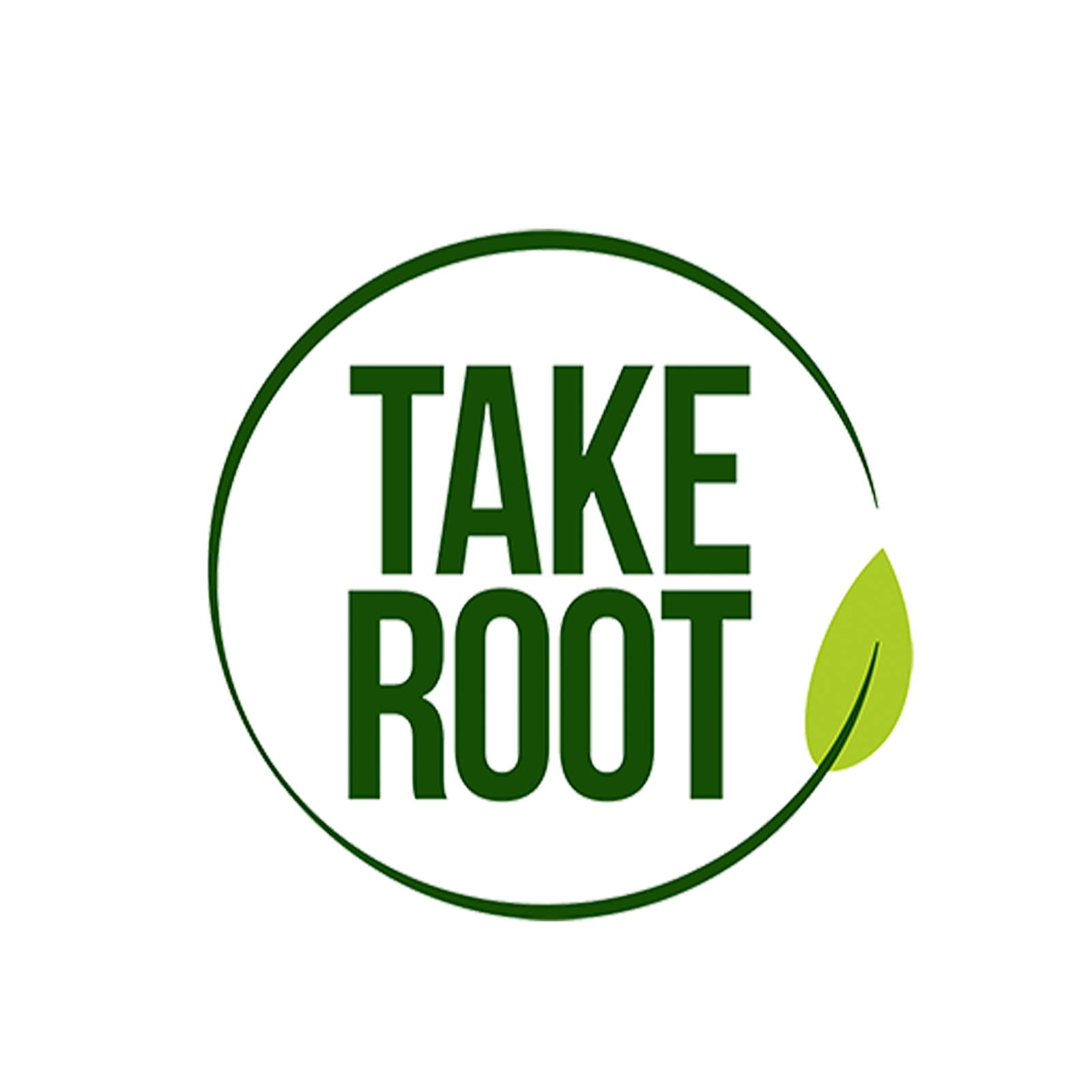 Take Root Kale Chips The Store HK