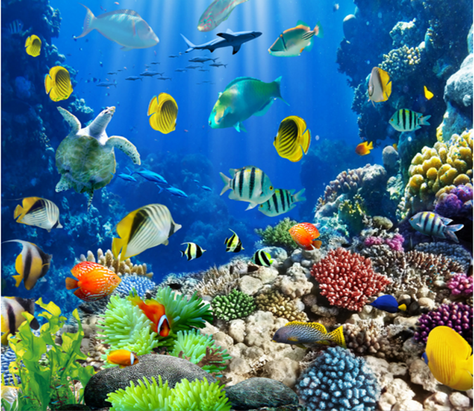 3D Bright Sea Creatures Floor Mural | AJ Wallpaper