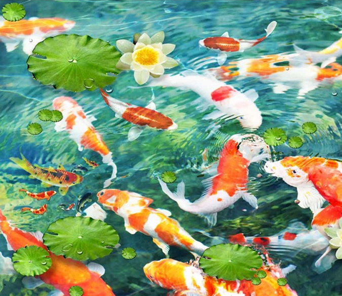 3D Goldfish Floor Mural | AJ Wallpaper