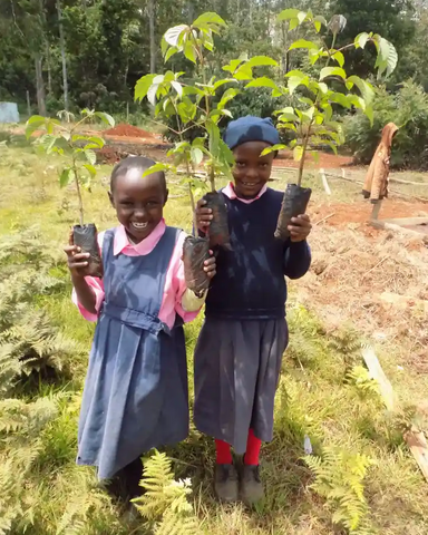 Eden Reforestation Tree Planting Project