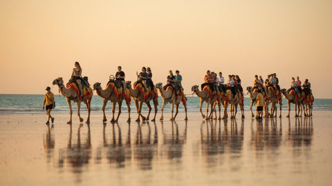 Camel Ride Cable Beach