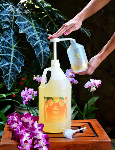 Sustainable Shampoo Packaging in Tropical Hair Care
