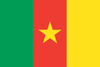 Cameroon Flags & Bunting