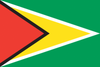 Guyana Flags and Bunting