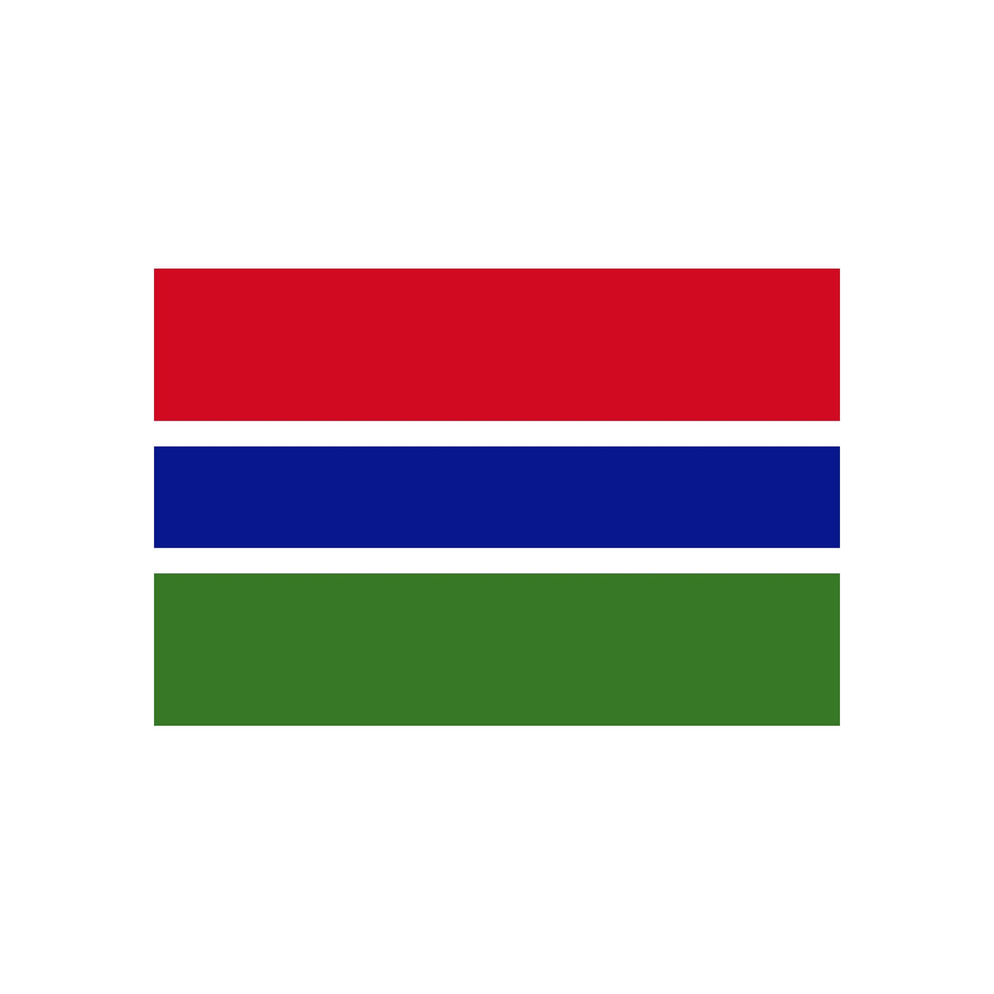 Gambia Budget Display Flag 91cm x 60cm (3ft x 2ft) Flags and Flagpoles